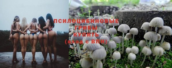 apvp Баксан