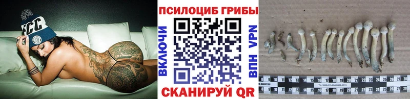 Галлюциногенные грибы Magic Shrooms  Купить  Белозерск 